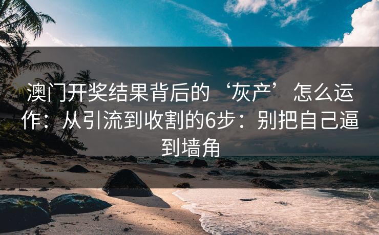 澳门开奖结果背后的‘灰产’怎么运作：从引流到收割的6步：别把自己逼到墙角