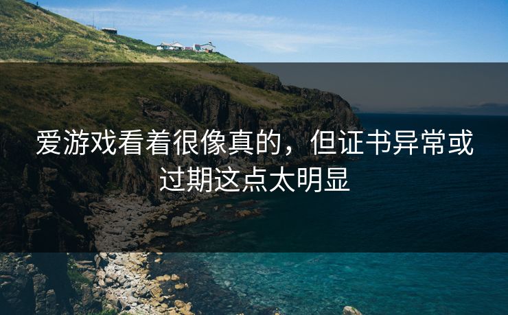 爱游戏看着很像真的，但证书异常或过期这点太明显