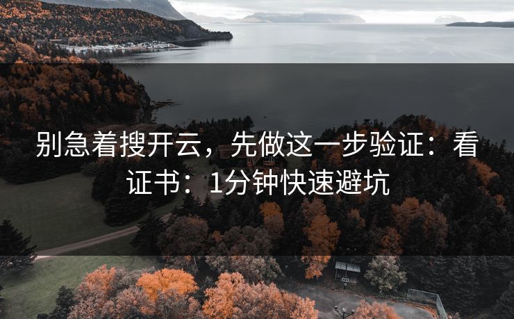 别急着搜开云，先做这一步验证：看证书：1分钟快速避坑
