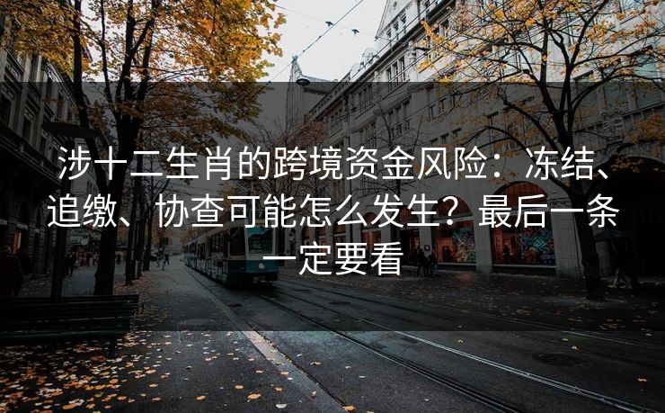 涉十二生肖的跨境资金风险：冻结、追缴、协查可能怎么发生？最后一条一定要看